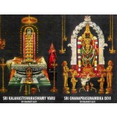 Srikalahasti Temple - Rahu Ketu Parihara Sthalam - Panchabhoota Sthalam