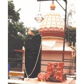 Shani Shinganapur temple - Sani/Shani Parihara Pooja 